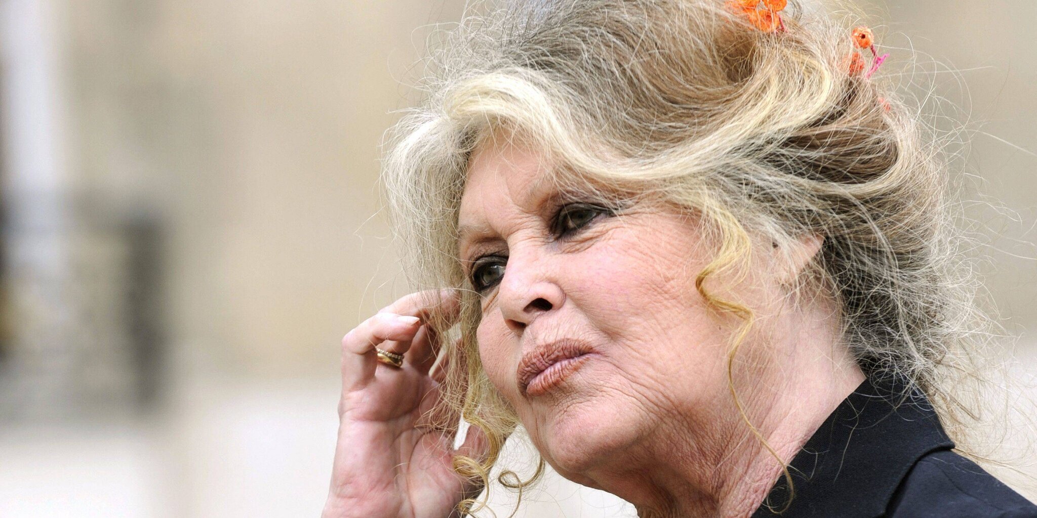 Brigitte Bardot icône du cinéma et militante animale