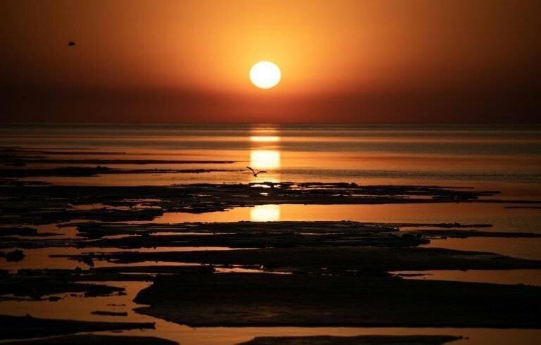 Photo liée à la COP30 et aux engagements climatiques