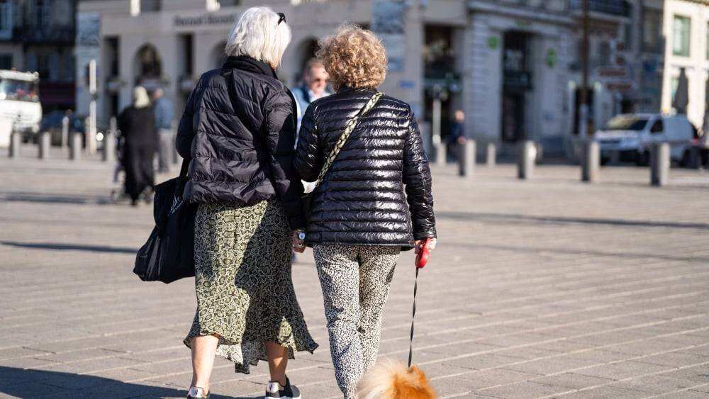 Réactions politiques autour de la réforme des retraites