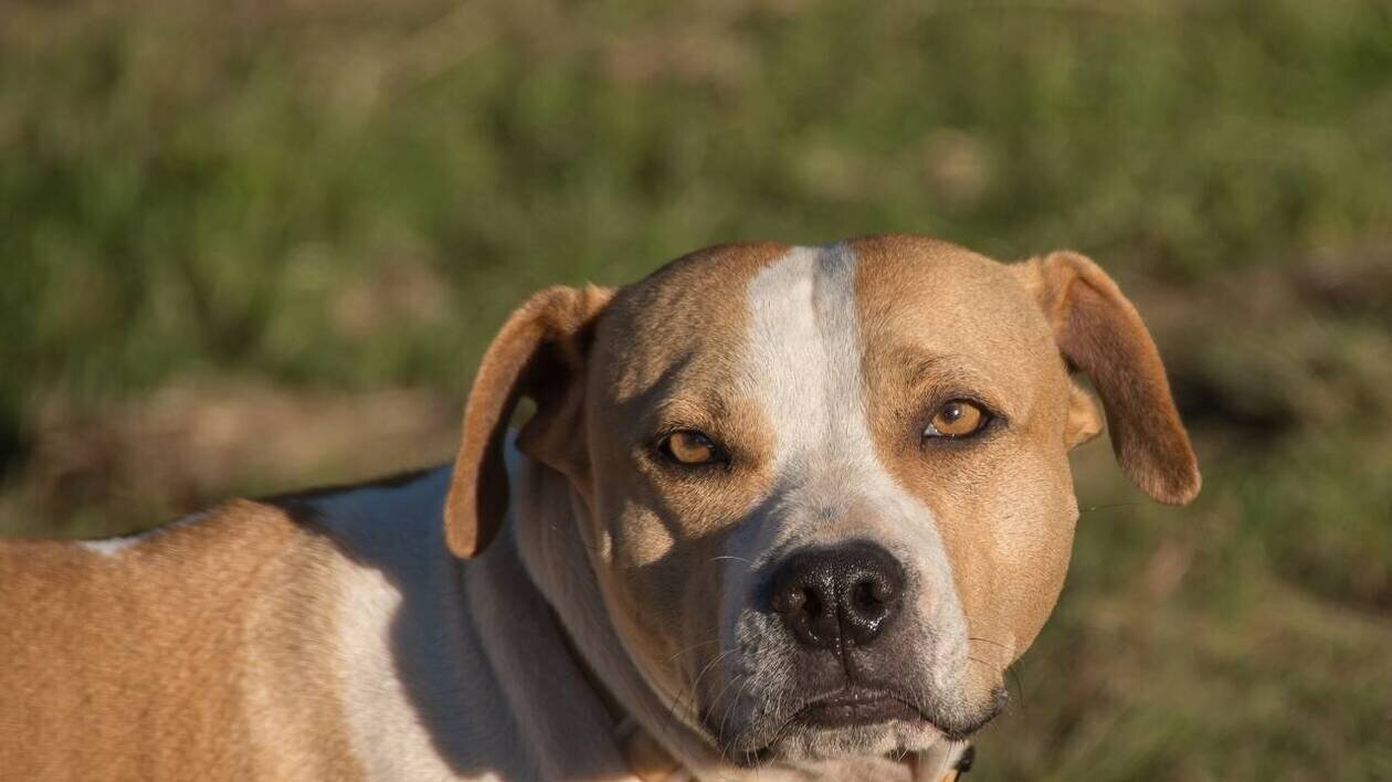 Intervention des policiers sur le lieu du sauvetage à Marseille