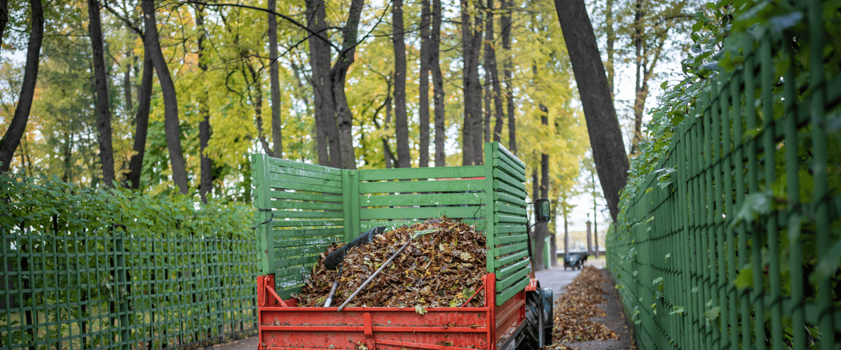 Benne vide et déchets verts dans une déchetterie du Morbihan