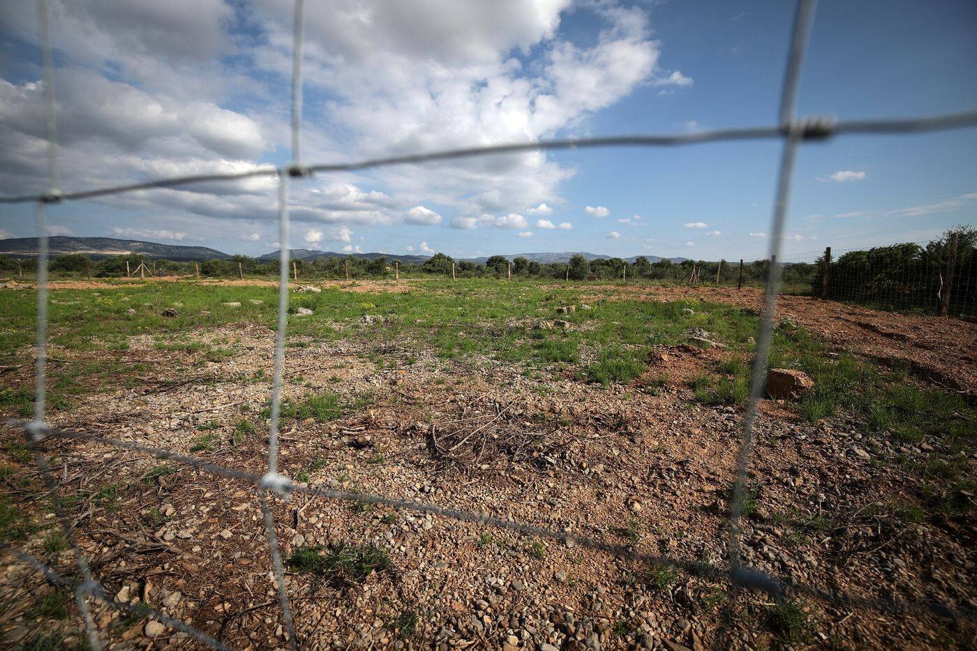 Ossements potentiels identifiés à Rivesaltes, Harkis