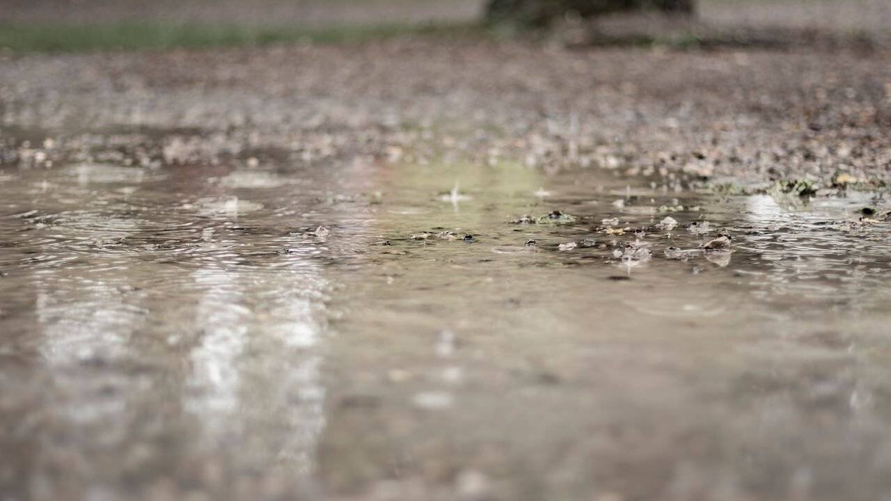 Sols saturés en eau après fortes pluies