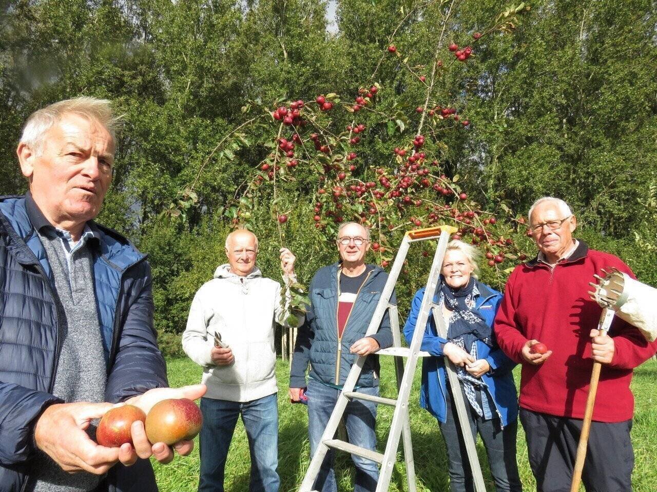 Des visiteurs découvrent plus de 400 variétés de pommes lors de la Fête de la pomme à Ailly-le-Haut-Clocher
