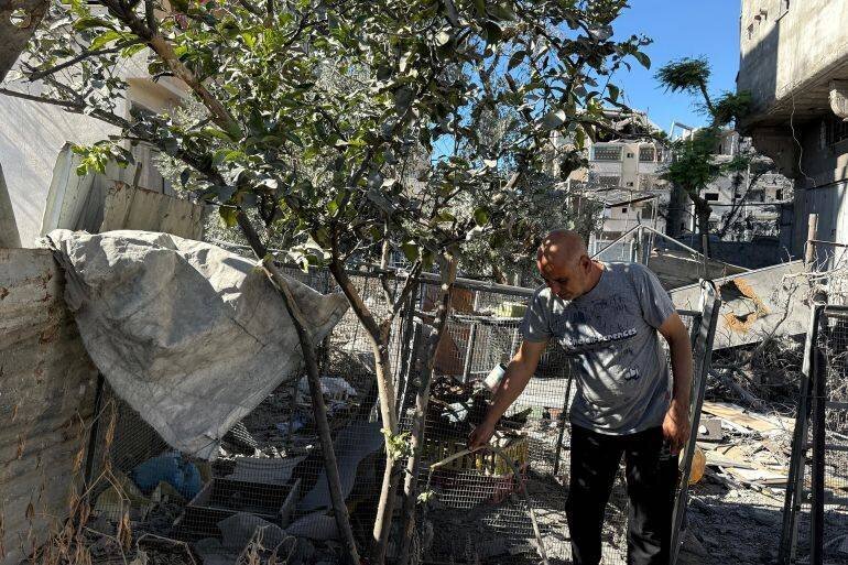 Homme inspectant un verger détruit