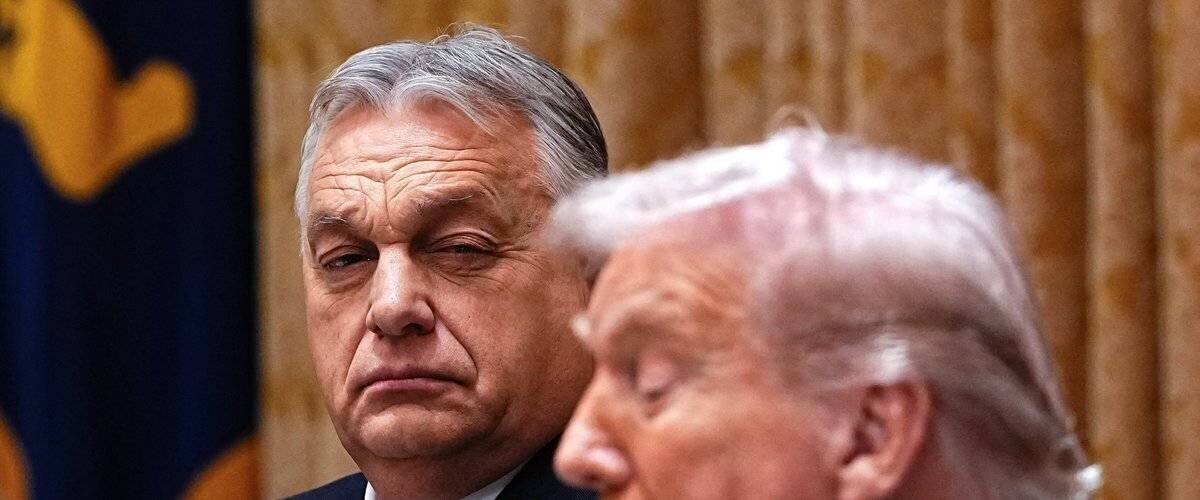 Vue d'une rencontre entre Orban et Trump à Washington