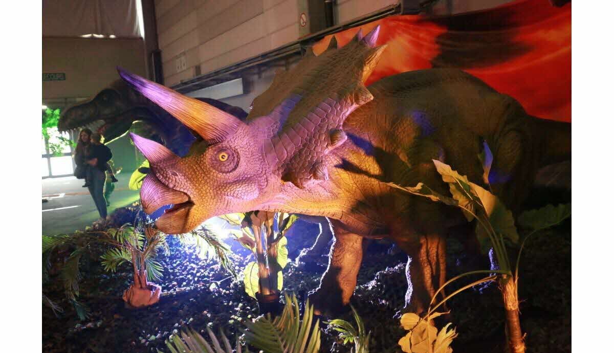 Animation week-end autour de Colmar et du Sud Alsace (14-16 novembre)