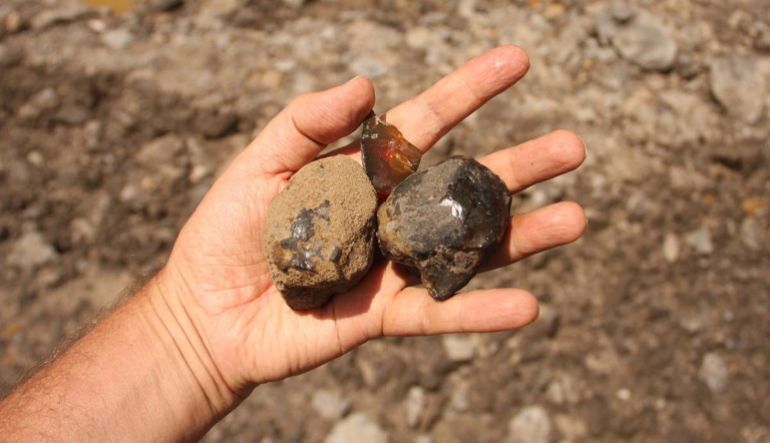 Fragments d'ambre examinés par les scientifiques (Musée national d'histoire naturelle)