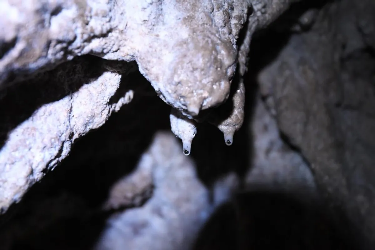 Secours en spéléologie dans le Var à Solliès-Toucas