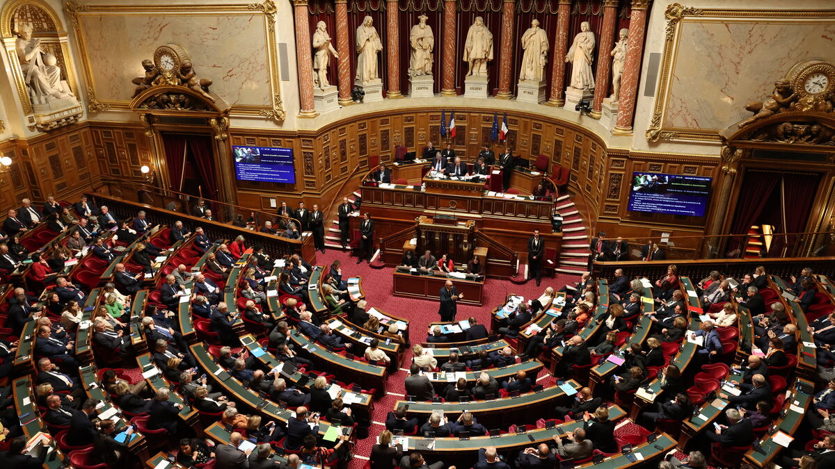 Vue générale du Sénat et du débat sur le travail