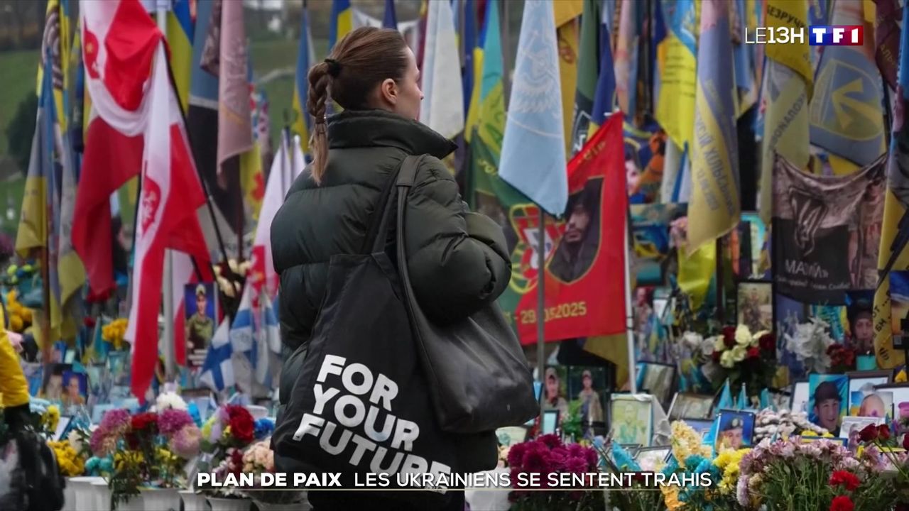 Ukrainiens face au plan de paix discuté à Genève