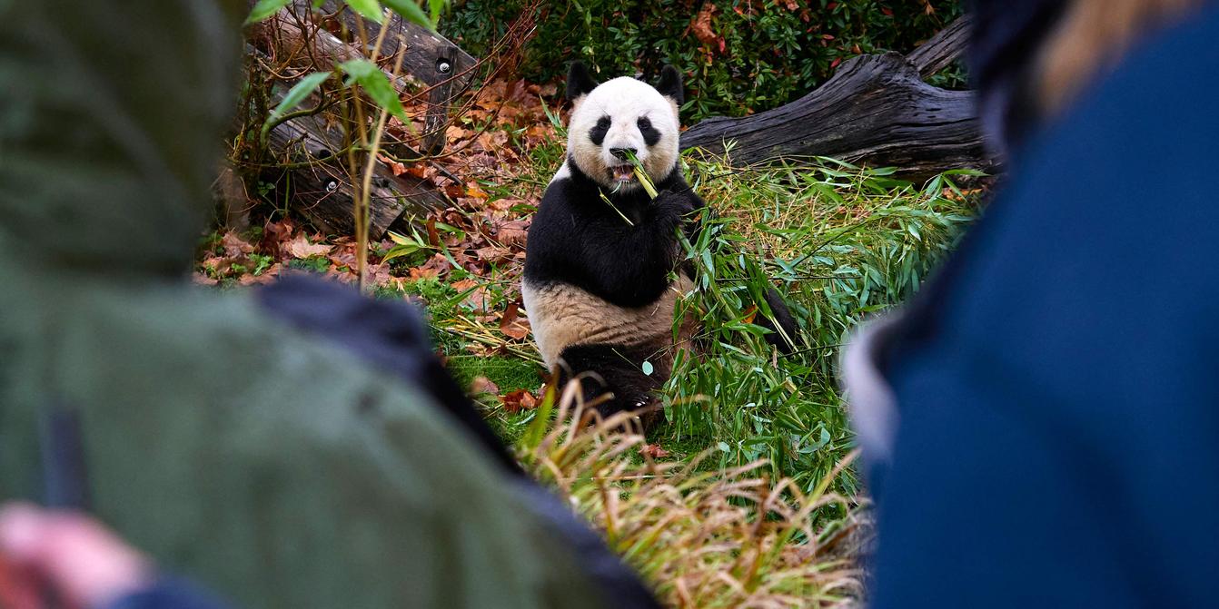 Capture d'écran d'un message d'accès au compte Le Monde