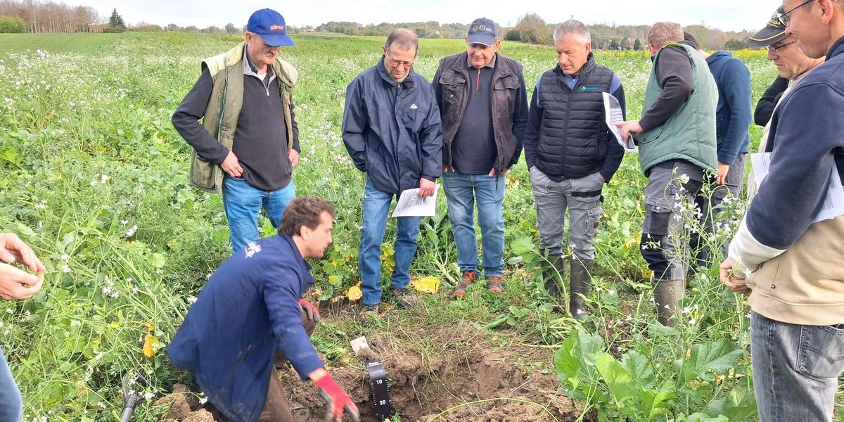 Agriculteurs discutant des couverts végétaux sur une plateforme expérimentale