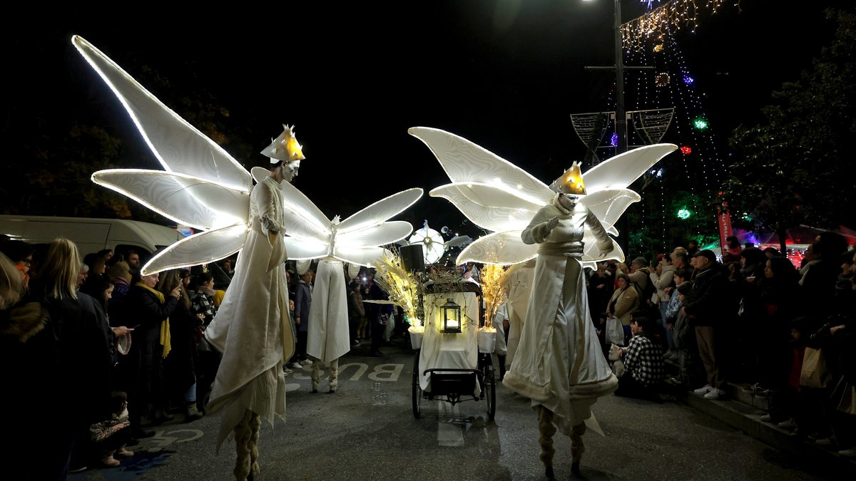 Illuminations et déambulations de Noël à Toulouse