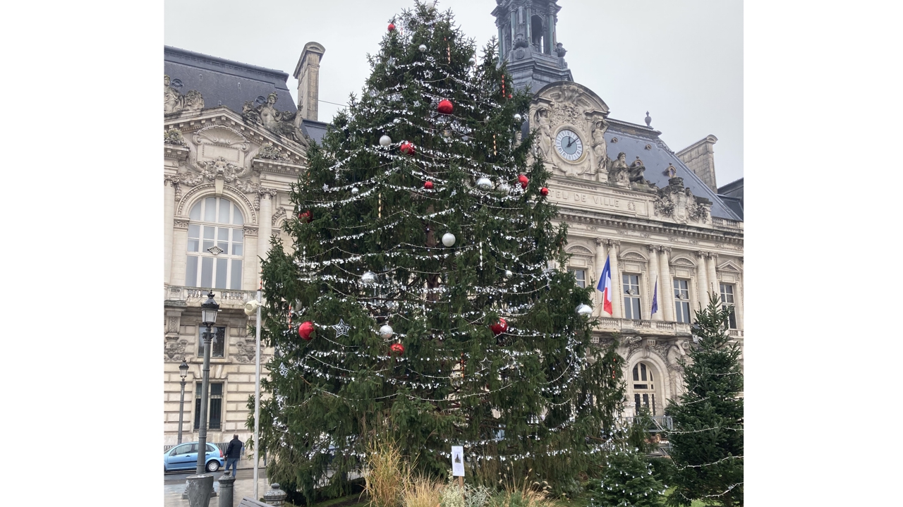 Sapins illuminés et animations de Noël à Tours