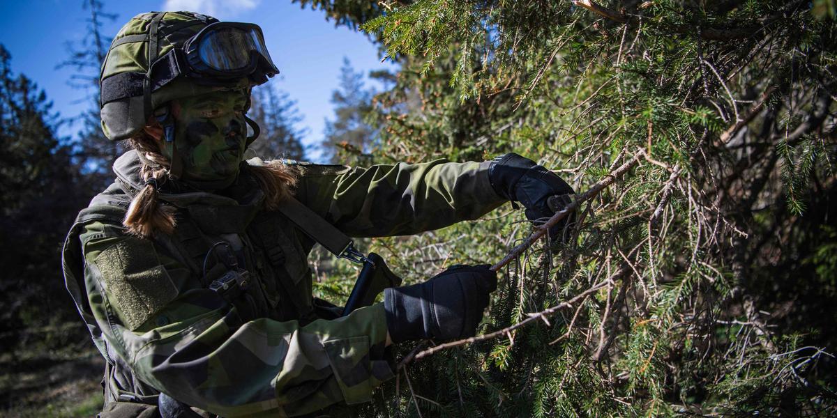 Exercice militaire en Suède avec la royauté