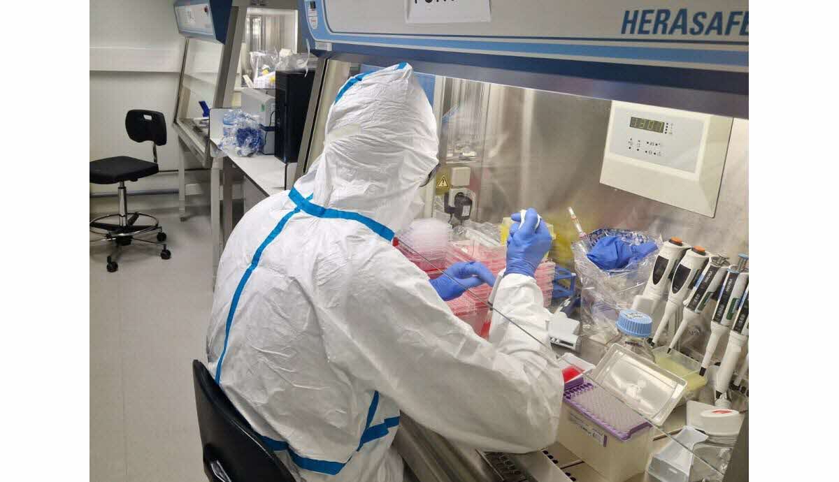 Test de surveillance de la grippe aviaire à l’Institut Pasteur