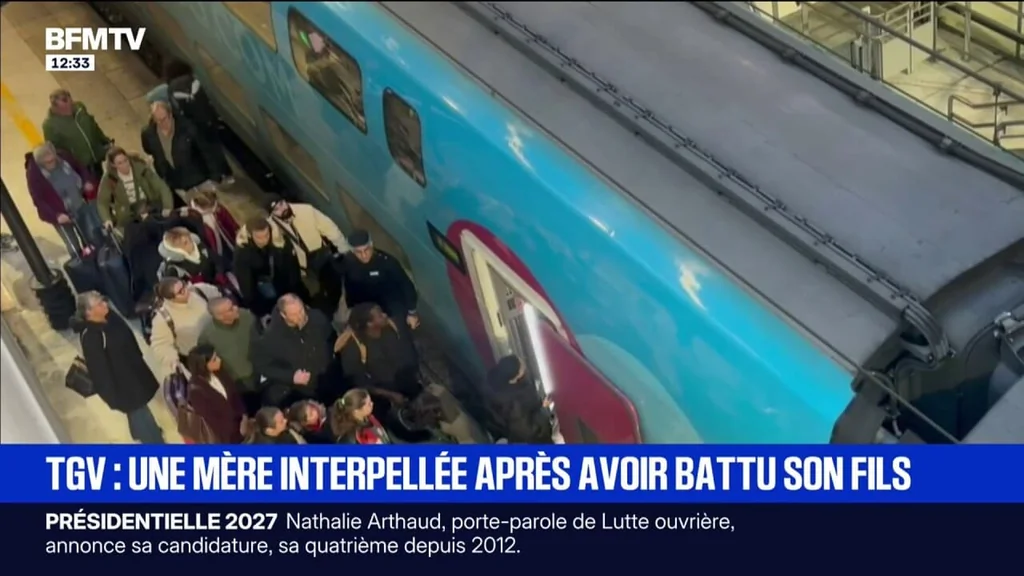 Agression dans un TGV: une mère interpellée après avoir frappé son fils