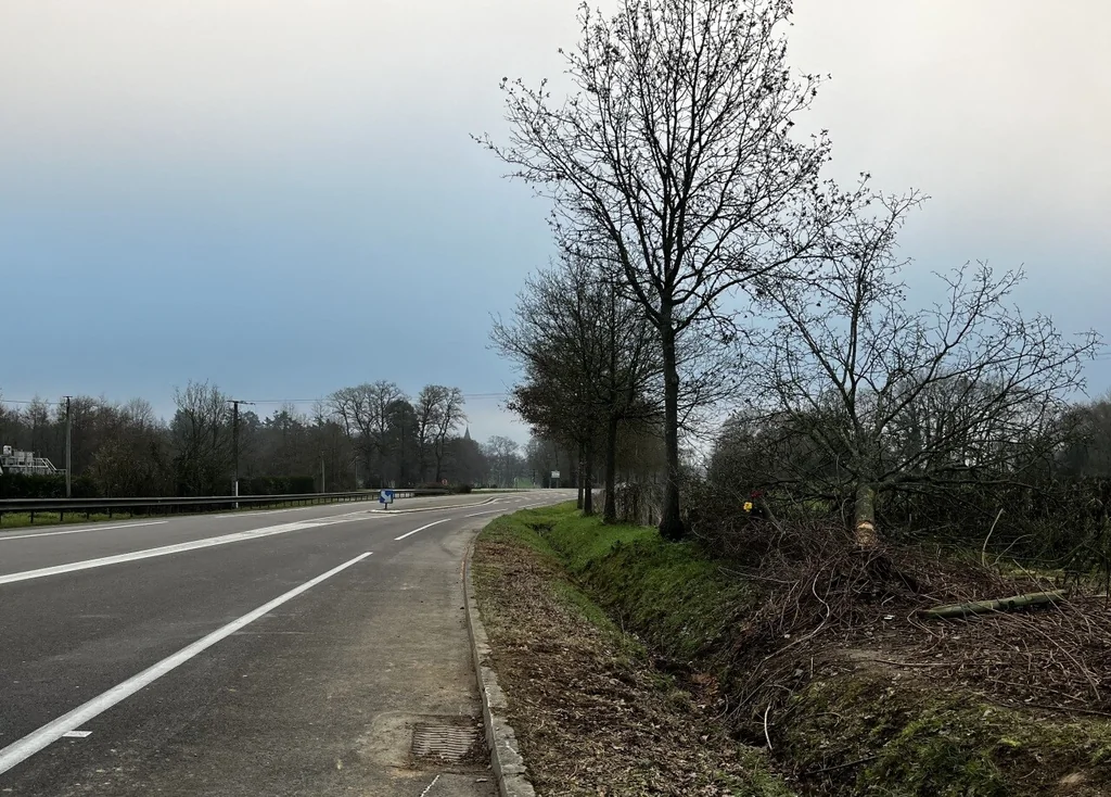 Accident mortel en Ille-et-Vilaine : deux jeunes hommes décédés dans un choc avec un arbre
