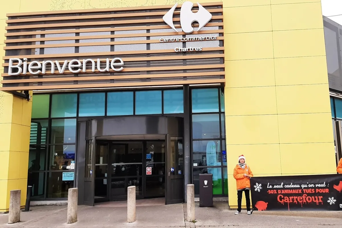 Actions citoyennes à Chartres et Bitche: L214 et secours locaux mobilisés