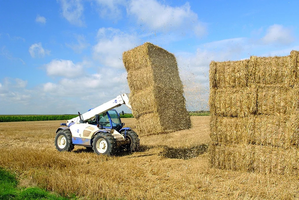 Comment les comités agricoles de la Loire renforcent l'entraide entre exploitants