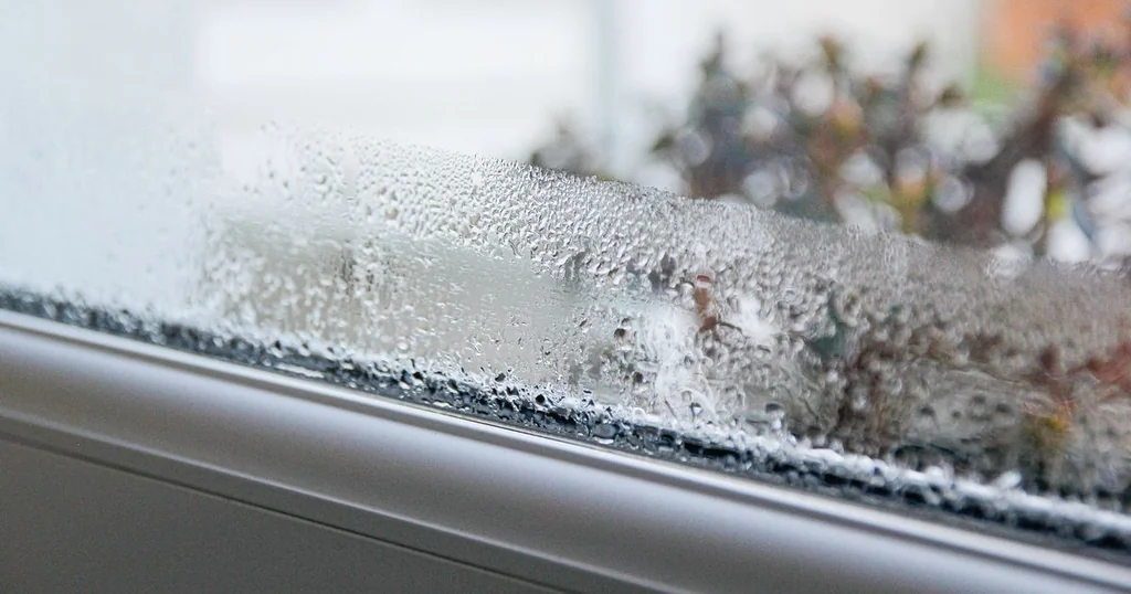 Comment éviter la condensation sur vos fenêtres cet hiver avec un simple truc maison