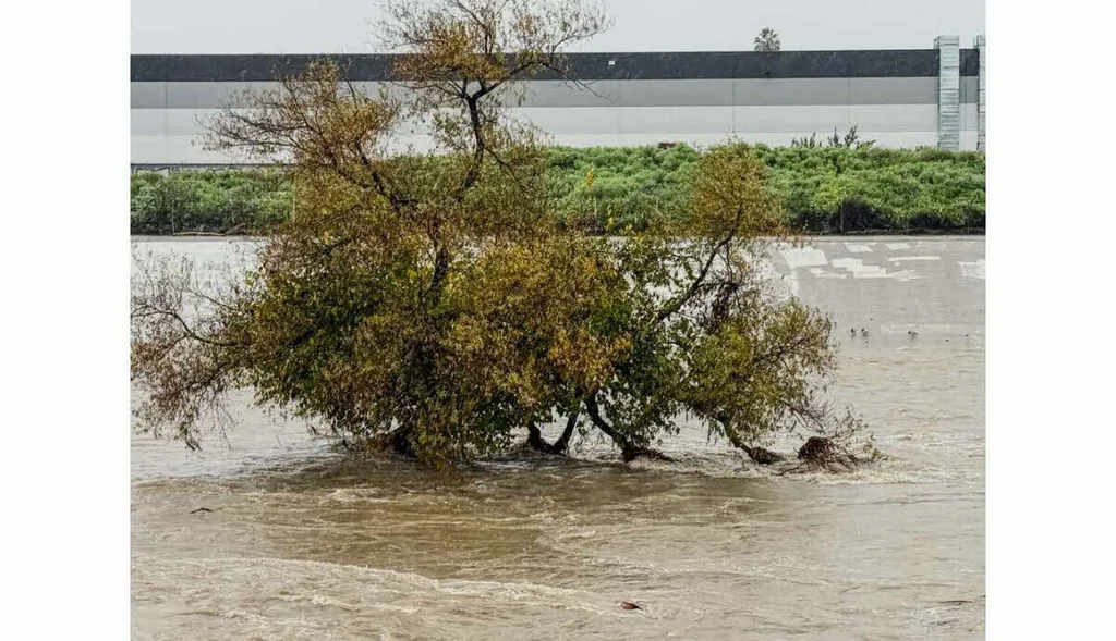 Crues: vigilance orange dans l'Aude et les Pyrénées-Orientales