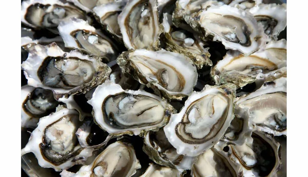 Fêtes: cinq raisons d’aimer les huîtres sainement