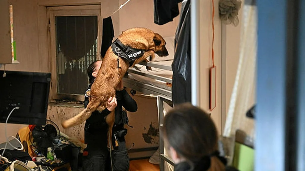 Fouille massive à Seysses : plus de 50 téléphones, drogue et armes découvertes