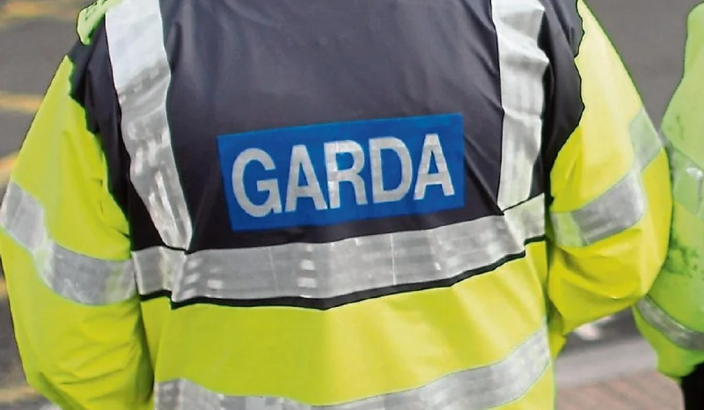 Gardaí irlandais arrêtent un criminel recherché à l’échelle nationale