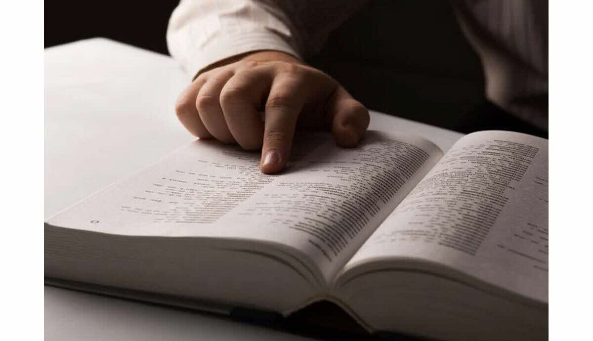 Dix mots de 2025 selon Le Robert illustrés