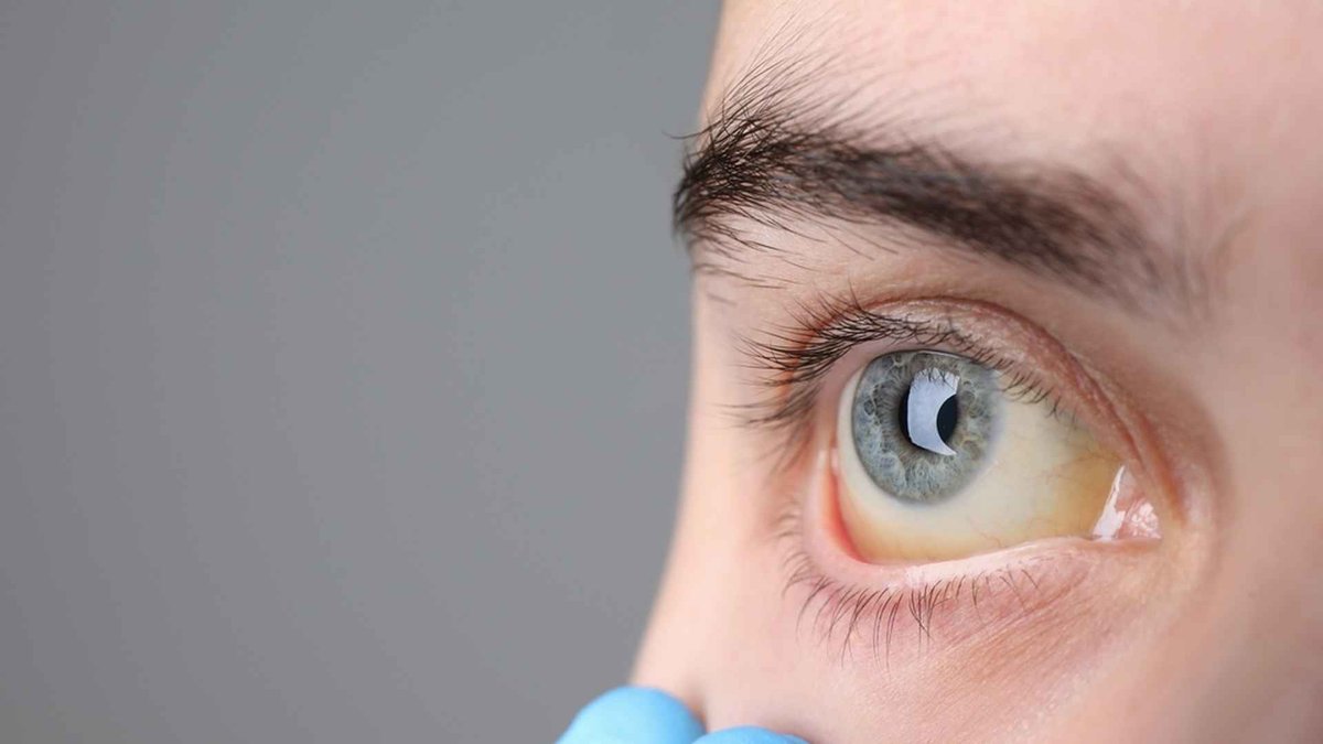 Vue d’ensemble du Sénat lors de l’incident rapporté