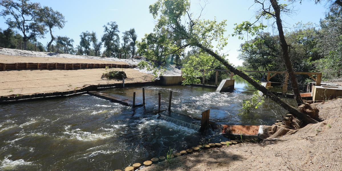 Barrage et réserve naturelle du Courant d’Huchet