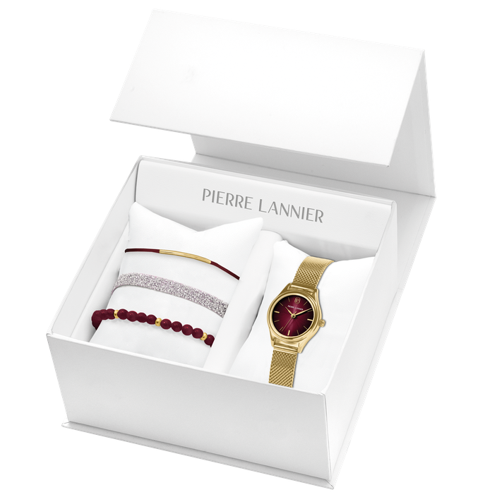 Pierre Lannier coffret Pya