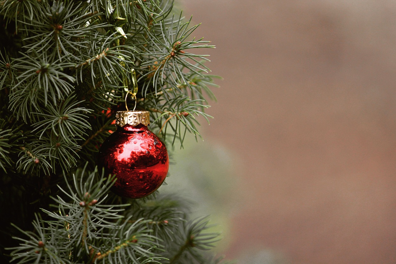 Sapin de Noël décoré prêt à être recyclé