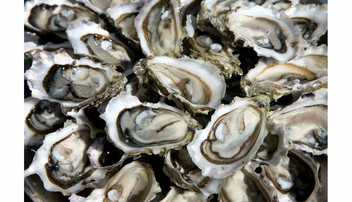 Assiette d'huîtres fraîches et décor festif