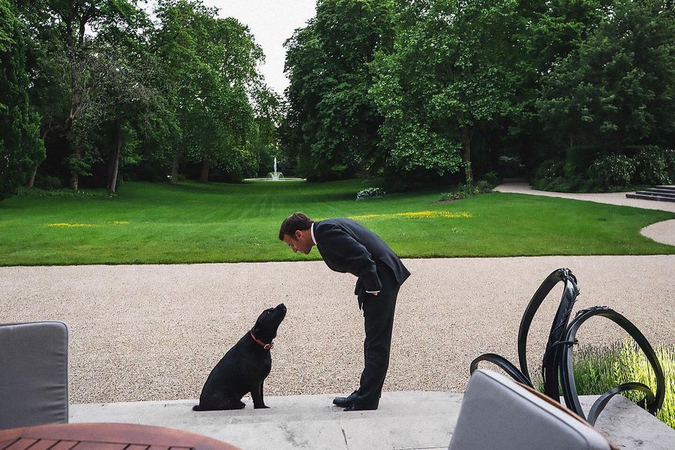 Nemo, chien croisé griffon et labrador noir