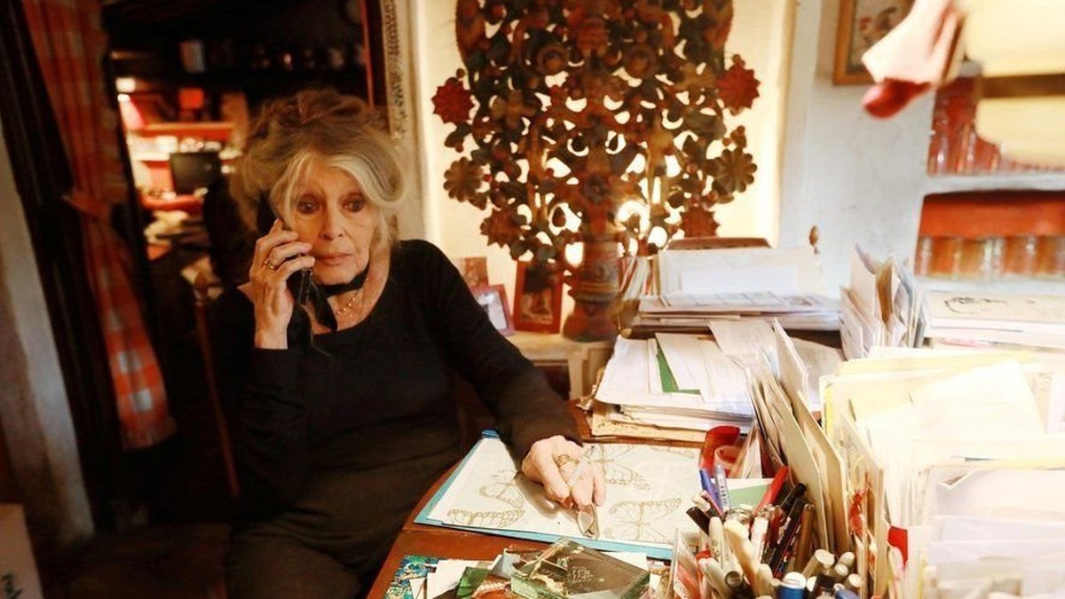 Brigitte Bardot portrant dans les années 1960