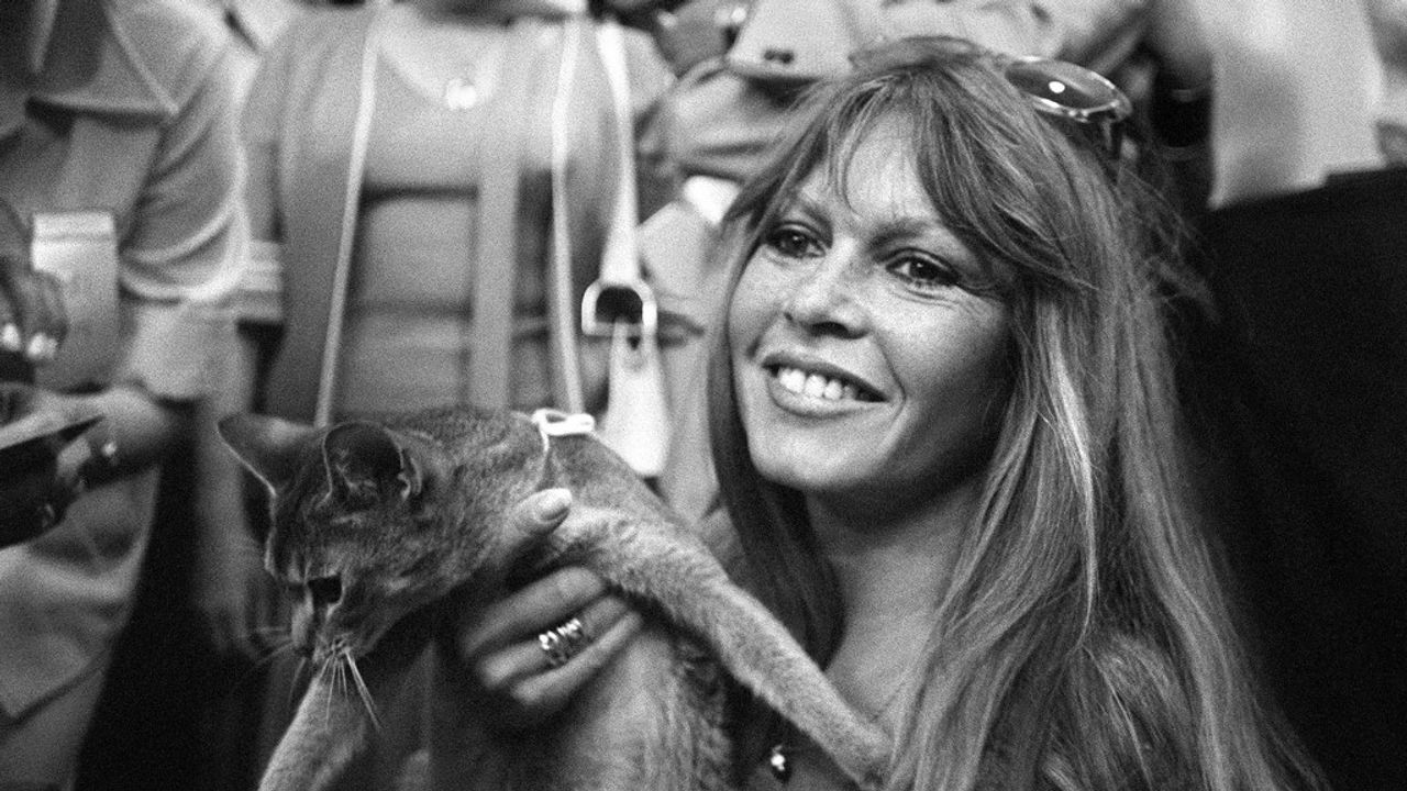 Brigitte Bardot en 2011 portrait activiste icone francaise