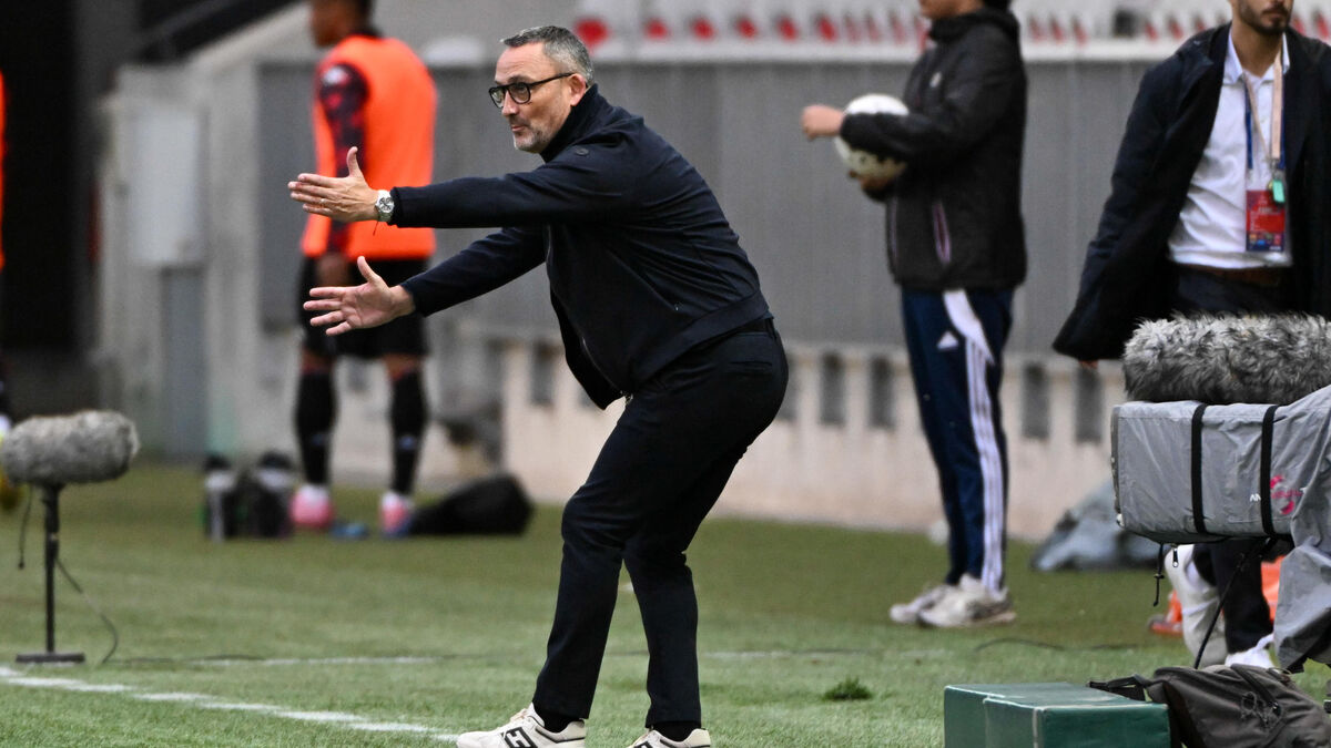Franck Haise sur le banc de Nice