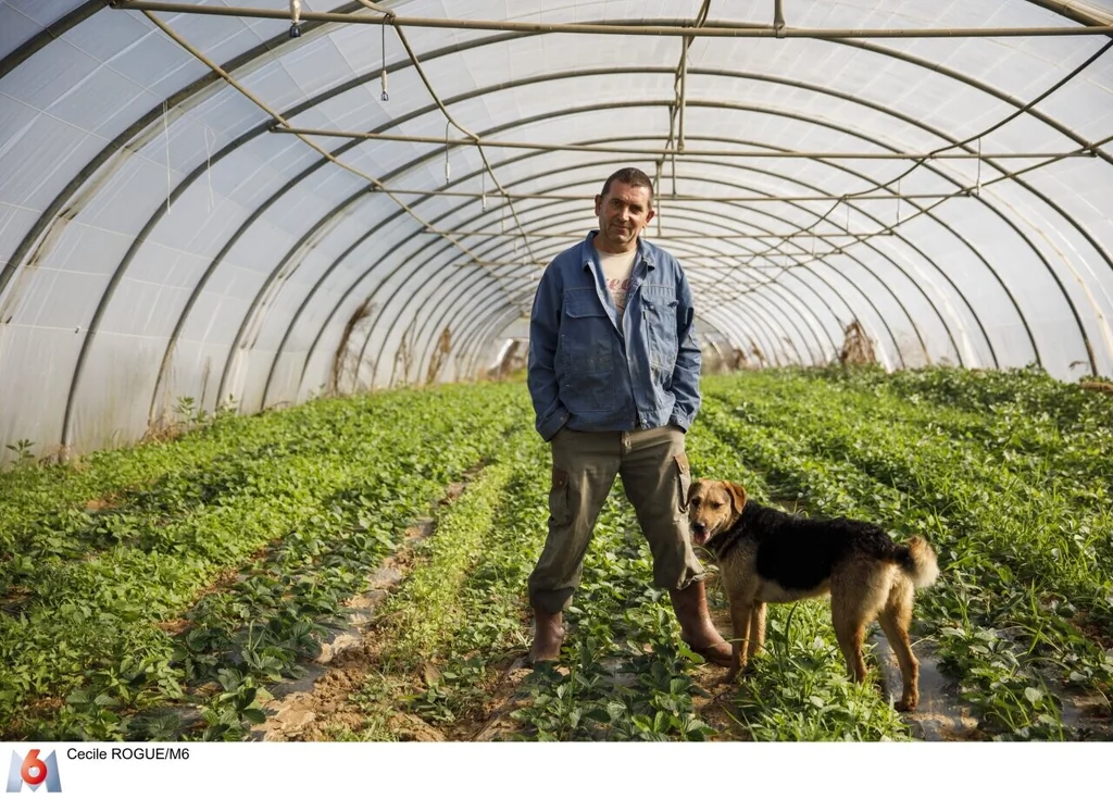 L'amour est dans le pré 2026: Jean-Louis et 14 agriculteurs au casting