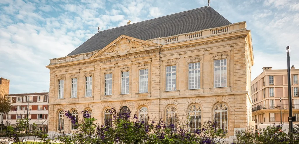 Réouverture du Muséum d'histoire naturelle du Havre après rénovation