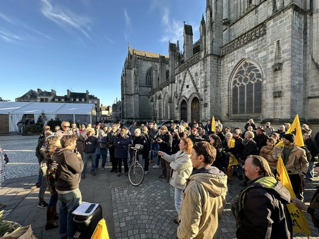 Manifestation à Quimper contre l'abattage total en cas de DNC