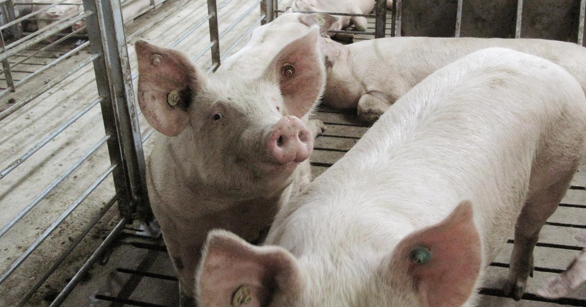 Vue générale d'une zone surveillée en Catalogne