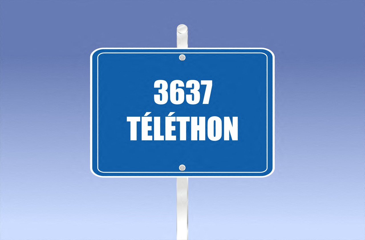 Animation T e9l e9thon en Touraine et villes partenaires