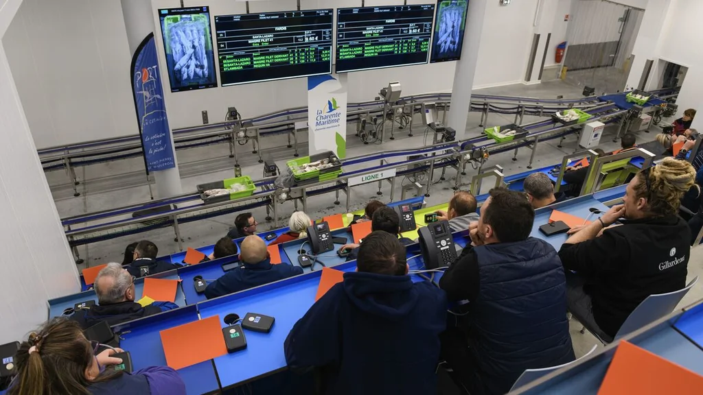 Découverte de la criée de la Cotinière à Oléron pendant les fêtes