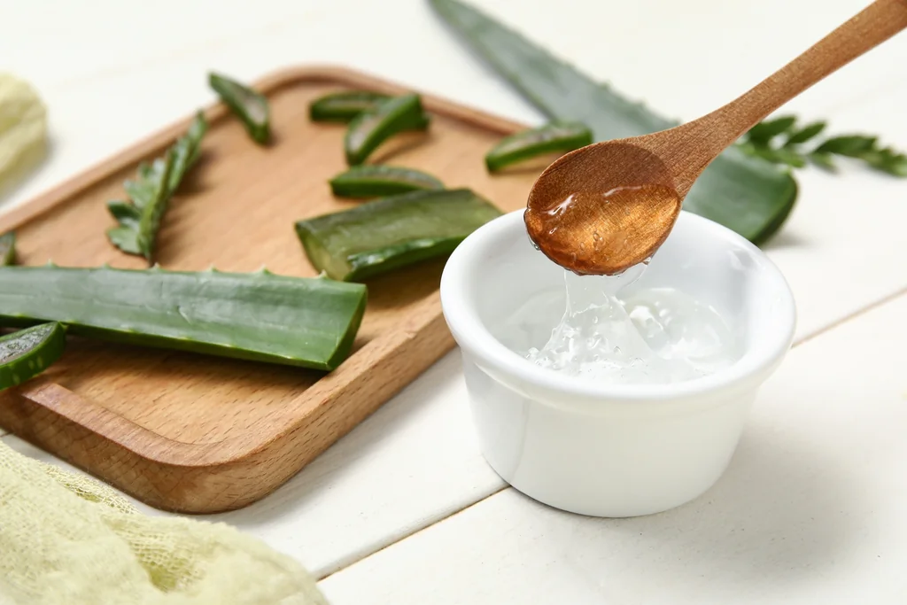 Aloe vera : le remède naturel incontournable pour soigner les bobos d’été