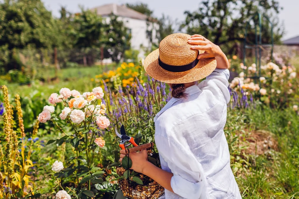Comment éviter que votre jardin devienne un nid à moustiques cet été