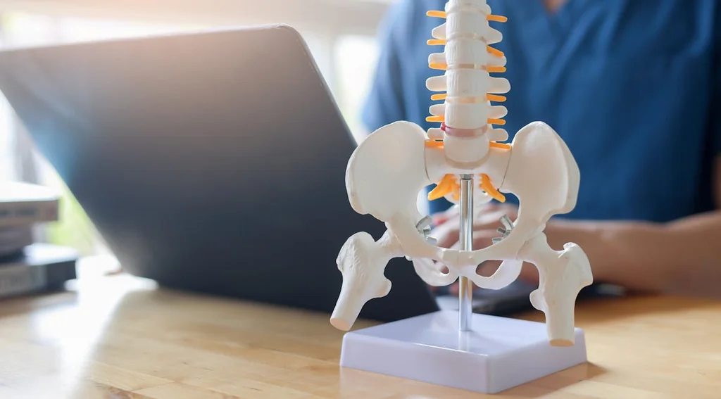 Tout savoir sur le sacrum, pilier essentiel de notre corps