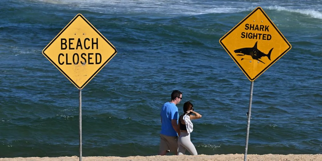 Attaque de requin à Sydney: troisième en deux jours et plages fermées